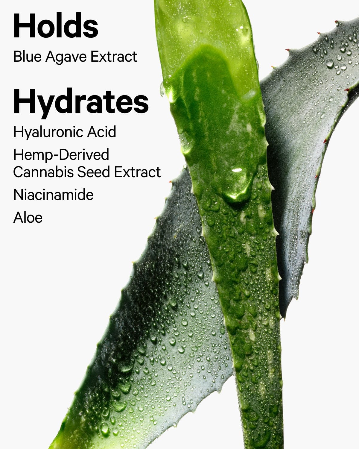 Hydro Grip Hydrating Setting Spray - Image 16